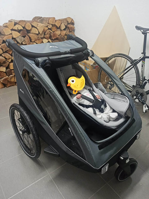 Child Bike Trailer with 2 Seats