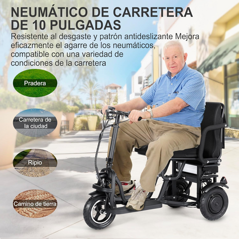 Mobility Scooter (faster & taller)